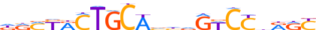 ZN502.H13CORE.0.P.C reverse-complement motif logo (ZNF502 gene, ZN502_HUMAN protein)