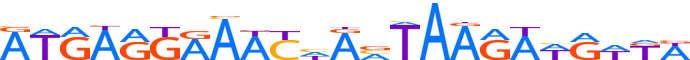 ZN510.H13CORE.0.P.C reverse-complement motif logo (ZNF510 gene, ZN510_HUMAN protein)