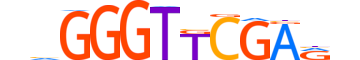 ZN524.H13CORE.0.S.B motif logo (ZNF524 gene, ZN524_HUMAN protein)