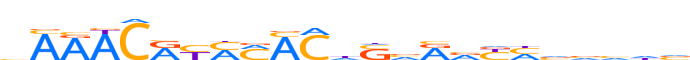 ZN540.H13CORE.0.P.C motif logo (ZNF540 gene, ZN540_HUMAN protein)