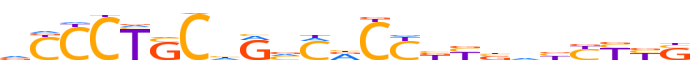 ZN548.H13CORE.0.P.B reverse-complement motif logo (ZNF548 gene, ZN548_HUMAN protein)