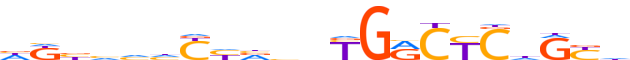 ZN554.H13CORE.0.P.C reverse-complement motif logo (ZNF554 gene, ZN554_HUMAN protein)