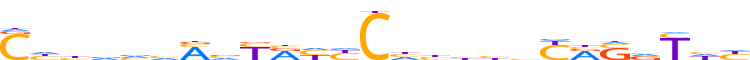 ZN557.H13CORE.0.P.C reverse-complement motif logo (ZNF557 gene, ZN557_HUMAN protein)