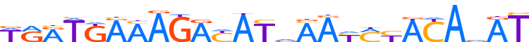 ZN558.H13CORE.0.P.B motif logo (ZNF558 gene, ZN558_HUMAN protein)