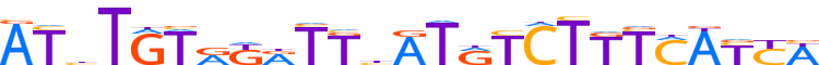 ZN558.H13CORE.0.P.B reverse-complement motif logo (ZNF558 gene, ZN558_HUMAN protein)