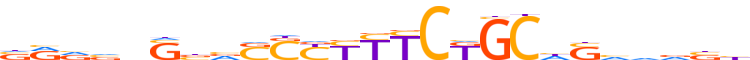 ZN561.H13CORE.0.P.C reverse-complement motif logo (ZNF561 gene, ZN561_HUMAN protein)