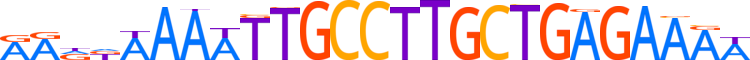 ZN562.H13CORE.0.P.C reverse-complement motif logo (ZNF562 gene, ZN562_HUMAN protein)