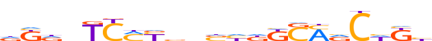 ZN563.H13CORE.0.P.C motif logo (ZNF563 gene, ZN563_HUMAN protein)