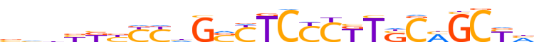 ZN566.H13CORE.0.P.C reverse-complement motif logo (ZNF566 gene, ZN566_HUMAN protein)