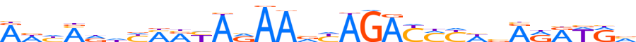 ZN567.H13CORE.0.P.C motif logo (ZNF567 gene, ZN567_HUMAN protein)