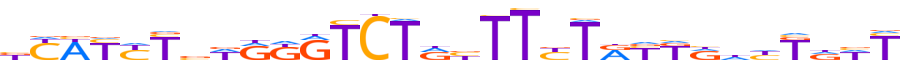 ZN567.H13CORE.0.P.C reverse-complement motif logo (ZNF567 gene, ZN567_HUMAN protein)