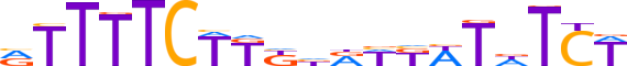 ZN570.H13CORE.0.P.C reverse-complement motif logo (ZNF570 gene, ZN570_HUMAN protein)