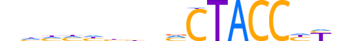 ZN580.H13CORE.1.SM.B motif logo (ZNF580 gene, ZN580_HUMAN protein)