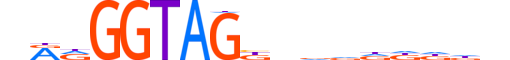 ZN580.H13CORE.1.SM.B reverse-complement motif logo (ZNF580 gene, ZN580_HUMAN protein)