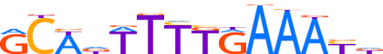 ZN584.H13CORE.1.P.C reverse-complement motif logo (ZNF584 gene, ZN584_HUMAN protein)