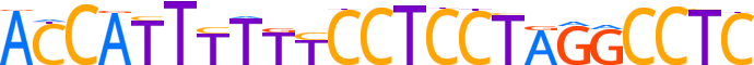 ZN586.H13CORE.0.P.C reverse-complement motif logo (ZNF586 gene, ZN586_HUMAN protein)