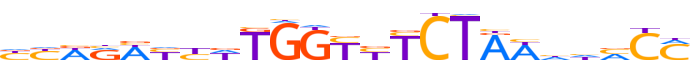 ZN605.H13CORE.0.P.C motif logo (ZNF605 gene, ZN605_HUMAN protein)