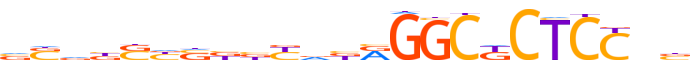 ZN611.H13CORE.0.P.C reverse-complement motif logo (ZNF611 gene, ZN611_HUMAN protein)