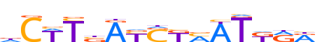 ZN614.H13CORE.0.P.C motif logo (ZNF614 gene, ZN614_HUMAN protein)