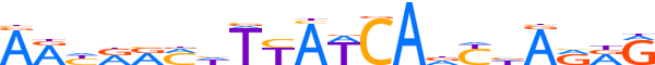 ZN615.H13CORE.0.P.C motif logo (ZNF615 gene, ZN615_HUMAN protein)