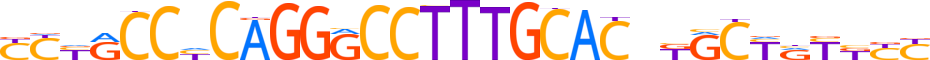 ZN623.H13CORE.0.P.C motif logo (ZNF623 gene, ZN623_HUMAN protein)