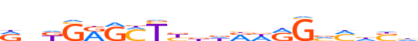 ZN667.H13CORE.0.P.C reverse-complement motif logo (ZNF667 gene, ZN667_HUMAN protein)