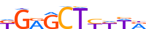 ZN667.H13CORE.1.P.C reverse-complement motif logo (ZNF667 gene, ZN667_HUMAN protein)