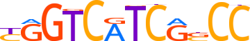 ZN669.H13CORE.1.P.C motif logo (ZNF669 gene, ZN669_HUMAN protein)