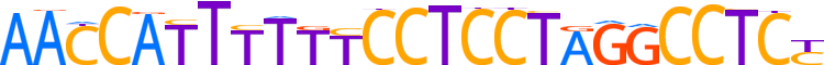 ZN675.H13CORE.0.P.C reverse-complement motif logo (ZNF675 gene, ZN675_HUMAN protein)