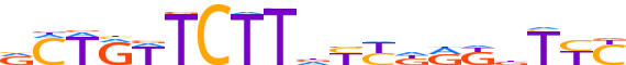 ZN677.H13CORE.0.P.C motif logo (ZNF677 gene, ZN677_HUMAN protein)