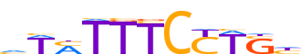 ZN716.H13CORE.1.P.C reverse-complement motif logo (ZNF716 gene, ZN716_HUMAN protein)