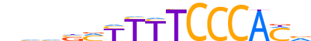 ZN75A.H13CORE.0.SM.B reverse-complement motif logo (ZNF75A gene, ZN75A_HUMAN protein)