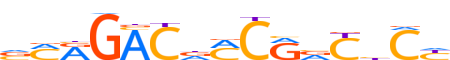 ZN778.H13CORE.0.P.C reverse-complement motif logo (ZNF778 gene, ZN778_HUMAN protein)