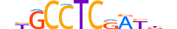 ZN787.H13CORE.1.S.C motif logo (ZNF787 gene, ZN787_HUMAN protein)