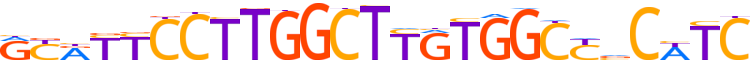 ZN805.H13CORE.0.P.C reverse-complement motif logo (ZNF805 gene, ZN805_HUMAN protein)