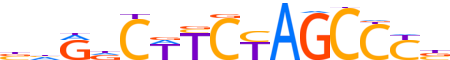 ZN891.H13CORE.0.P.C reverse-complement motif logo (ZNF891 gene, ZN891_HUMAN protein)