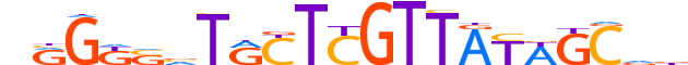 ZNF12.H13CORE.1.M.C reverse-complement motif logo (ZNF12 gene, ZNF12_HUMAN protein)