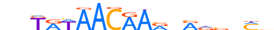 ZNF12.H13CORE.2.S.C motif logo (ZNF12 gene, ZNF12_HUMAN protein)