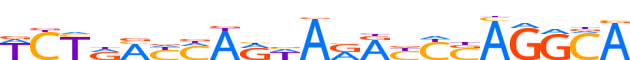 ZNF14.H13CORE.0.P.C motif logo (ZNF14 gene, ZNF14_HUMAN protein)