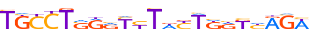 ZNF14.H13CORE.0.P.C reverse-complement motif logo (ZNF14 gene, ZNF14_HUMAN protein)