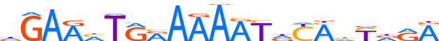 ZNF160.H13CORE.0.SG.A motif logo (ZNF160 gene, ZN160_HUMAN protein)