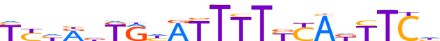 ZNF160.H13CORE.0.SG.A reverse-complement motif logo (ZNF160 gene, ZN160_HUMAN protein)