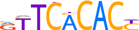 ZNF18.H13CORE.0.P.B reverse-complement motif logo (ZNF18 gene, ZNF18_HUMAN protein)