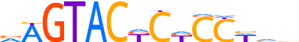 ZNF20.H13CORE.0.PSG.A motif logo (ZNF20 gene, ZNF20_HUMAN protein)