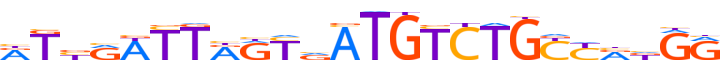 ZNF23.H13CORE.0.P.C reverse-complement motif logo (ZNF23 gene, ZNF23_HUMAN protein)