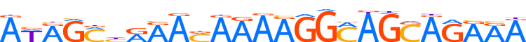 ZNF233.H13CORE.0.PG.A motif logo (ZNF233 gene, ZN233_HUMAN protein)