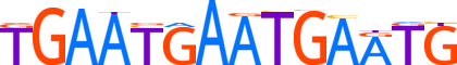 ZNF24.H13CORE.0.P.B motif logo (ZNF24 gene, ZNF24_HUMAN protein)