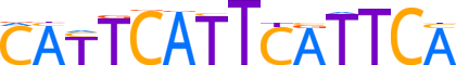 ZNF24.H13CORE.0.P.B reverse-complement motif logo (ZNF24 gene, ZNF24_HUMAN protein)