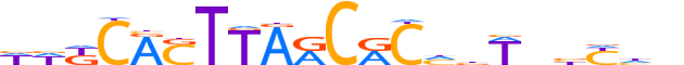 ZNF251.H13CORE.0.PSGI.A motif logo (ZNF251 gene, ZN251_HUMAN protein)