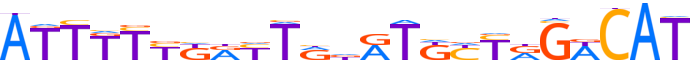 ZNF26.H13CORE.0.P.B reverse-complement motif logo (ZNF26 gene, ZNF26_HUMAN protein)